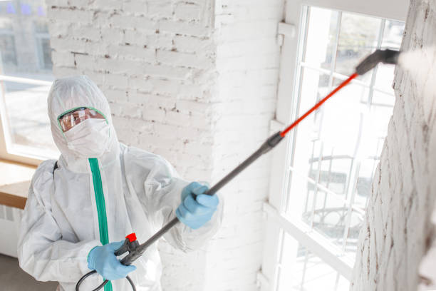 Best Commercial Mold Inspection  in , TX