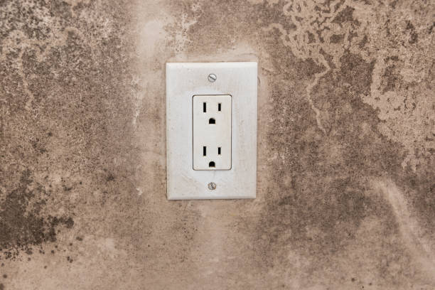 Best Forensic Mold Investigation  in , TX
